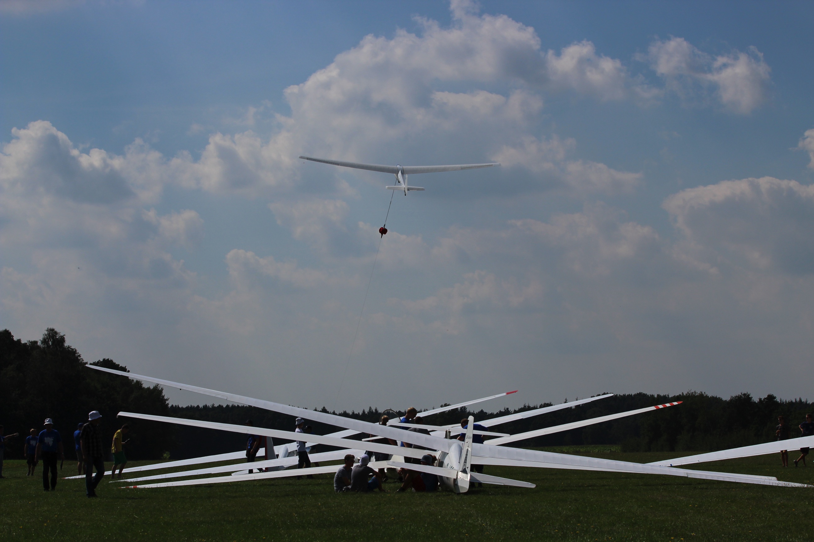 Bild zum Segelflug in der Natur